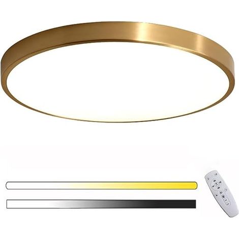 LED Ceiling Light Dimmable Golden Φ30cm LED Ceiling Light (1/5)