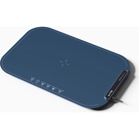 Tappetino riscaldante elettrico da 250 W, in silicone, 3 livelli, blu, 20x13,5 pollici. (1/4)