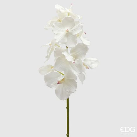 EDG Enzo De Gasperi Orchidea Vanda Ramo x9 Artificiale H 95 Cm White (1/2)