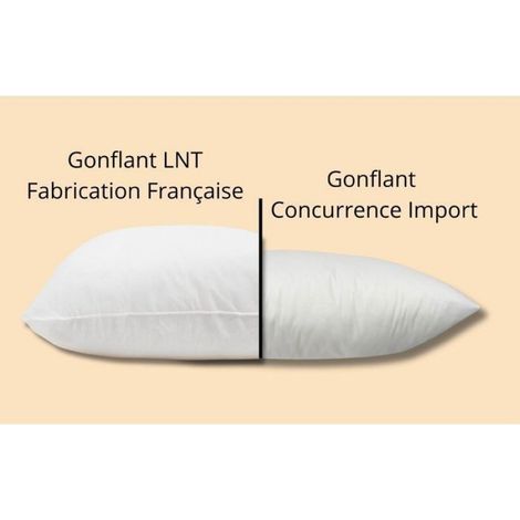 Coussin Garnissage - 40 x 40 cm - Fibres Siliconées Recyclées - Pour Canapé Fauteuil Méridienne - Lot de 2 (1/5)