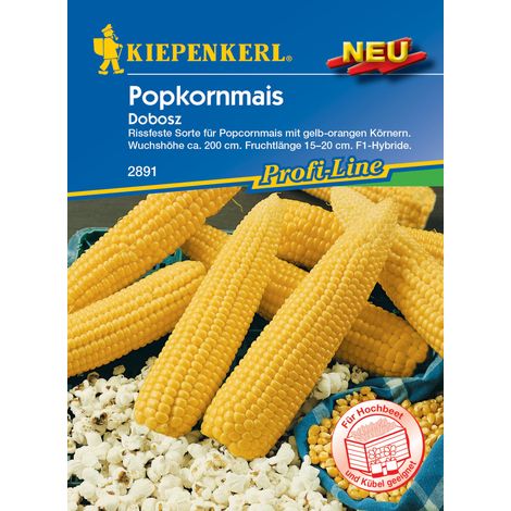 Kiepenkerl Popkornmais Dobosz F1 Gemüsesamen