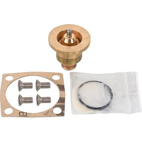 Thermocouple convient pour ADV (et LK 821) joints inclus, 55°C