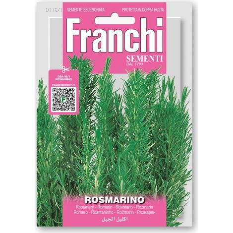 SEMI DI ROSMARINO