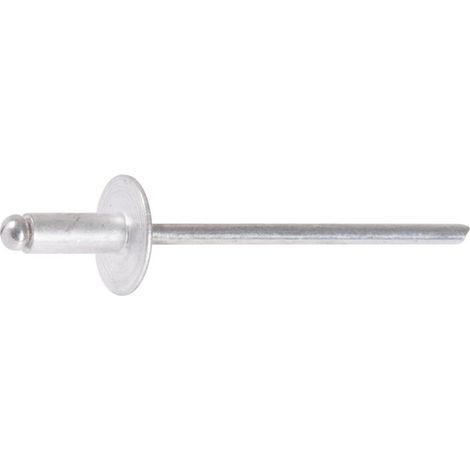 Rivetto Aveu.ag5 Tl 4,8x24 / 250