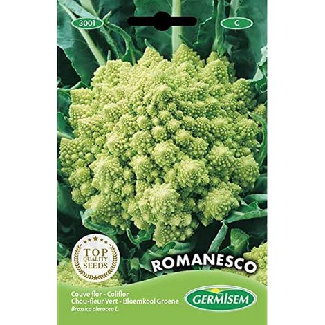 graines Chou-fleur vert ROMANESCO (1/2)