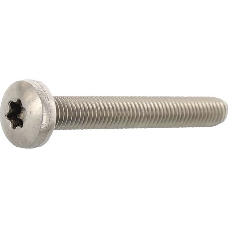 ISO14583 M 5x 12 Torx 25 Edelstahl A4 Linsenschraube (DIN7985A)