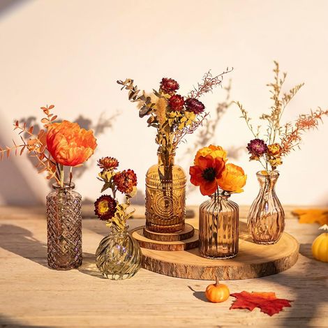 Petits Vases en Verre pour Maison: Vase à Fleurs pour Table Décor (1/5)