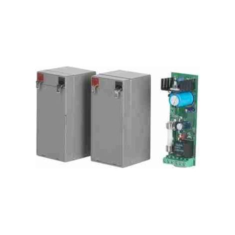 2600839 Caricabatterie Con Batterie Per Motore Scheda 24v BFT VIRGO BAT P125008 2600839