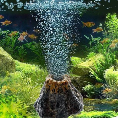 Pompe à oxygène pour aquarium, pierre à bulles volcan, disque et anneau