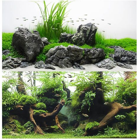 Double fond d'amazone blister 45x100cm