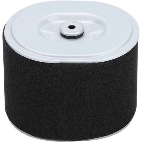 Filtre à air pour moteur Honda GX390 – Remplacement AF ZE28 – 12cm x 9cm – Performances optimales pour tondeuse à gazon (1/5)