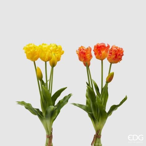 EDG Enzo De Gasperi Bouquet 5 Tulipani Parrot Olis Ass. H 40 Cm Yellow Orange 1 Pz