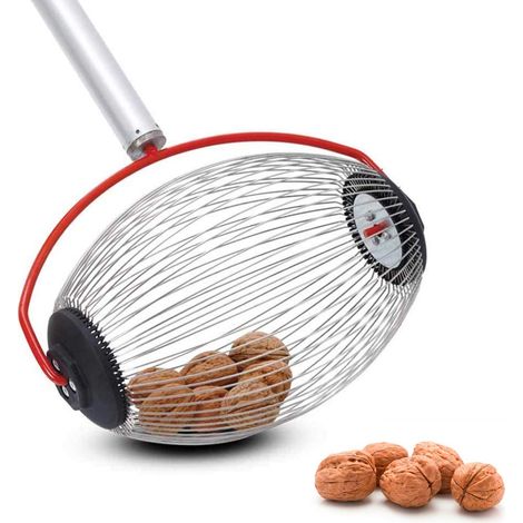 Rullo raccoglitore per noci e castagne con asta telescopica, rullo raccoglitore e cestello di raccolta: la più piccola macchina raccoglitrice per noci e prugne.