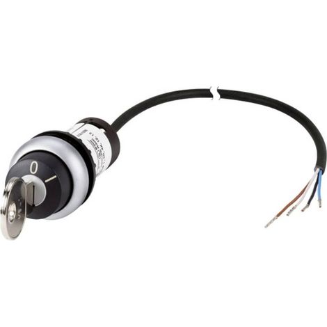 Interruptor Eaton C22-WRS-MS1-K10-P62 plástico IP66 4 A