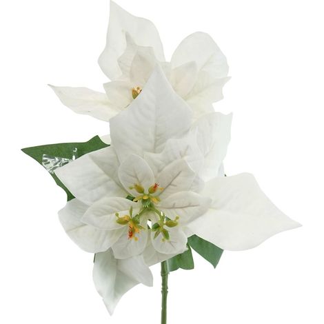 GASPER Weihnachtsstern - Poinsettie Weiß mit 2 Brakteen 32 cm - Kunstblumen (1/2)