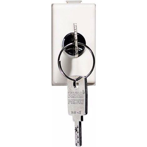 Interruttore 2P 16A Chiave Matix - (Bticino Cod. Am5007) (1/3)