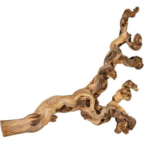 Trixie Vite Naturale 40-60 cm per Terrario