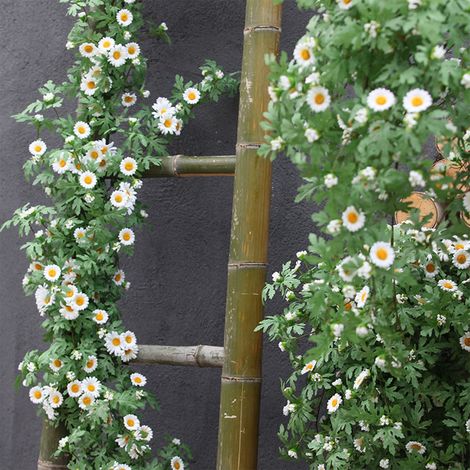Guirlande Fausse Plante - Simulateur de Marguerite en Raphia Artificielle - Décoration Murale Intérieure - Longueur 175 cm - 1 Pièce (1/5)