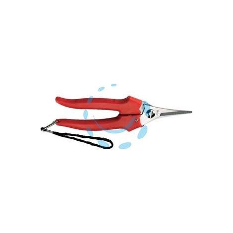 FORBICE RACCOLTA LAMA STRETTA - cm.19 - 31329