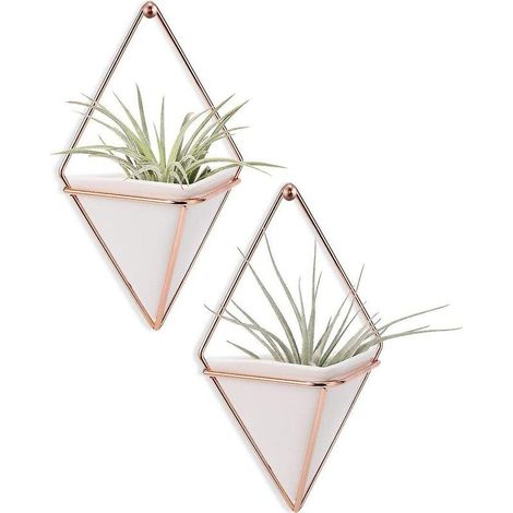 Vase suspendu, pots de plantes aériennes, décoration murale suspendue, porte-plante, plante suspendue pour plantes aériennes/succulentes/plantes de cactus/plantes de bureau/plante artificielle -2 (1/5)
