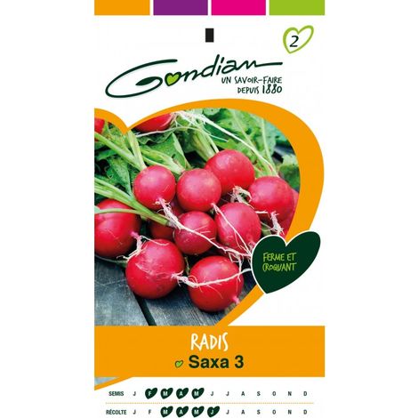 Gondian - Radis Saxa 3 (1/3)