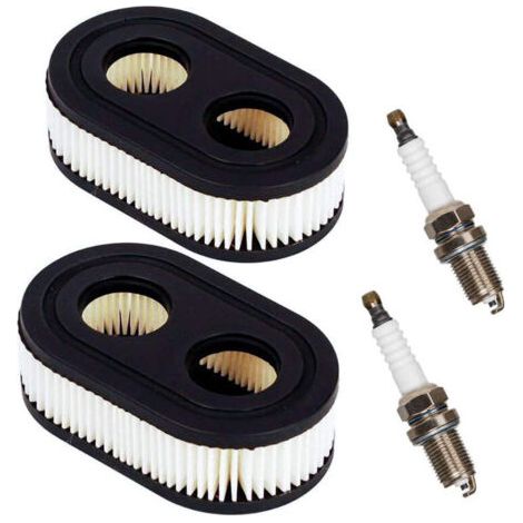 Filtro olio o aria per motore a combustione interna. Ricambi motore. Filtro aria per tosaerba con 2 candele. (1/5)