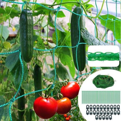 1 Filet Treillis 5m x 2m, Nylon Renforcé, 25 Clips Serre, 50 Attaches, Jardin Potager Balcon (1/5)