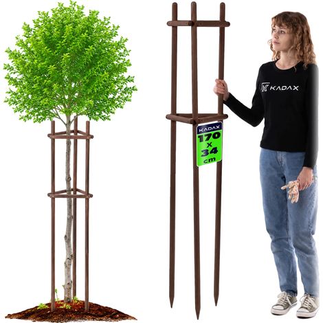 Soporte para plantas, madera de haya, 170 cm de alto, estaca de 28 mm de diámetro, estructura de trípode triangular, montaje rápido. (1/5)
