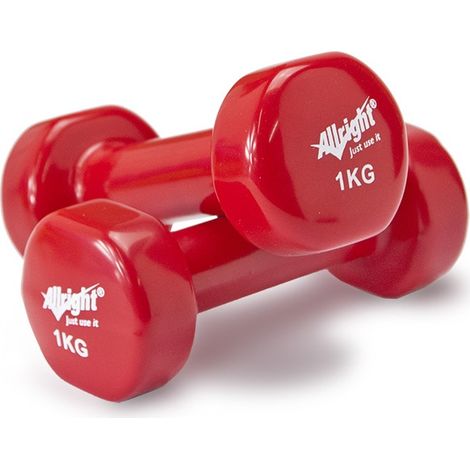 VINYLGEWICHTSSATZ 2 x 1 KG (1/4)
