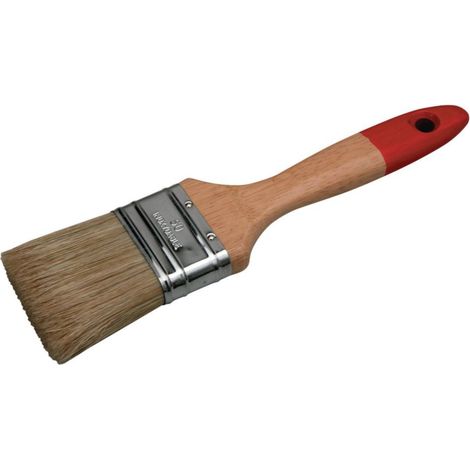BROSSE PLATE PRO GLYC 10110 50 ROULOR (1/3)