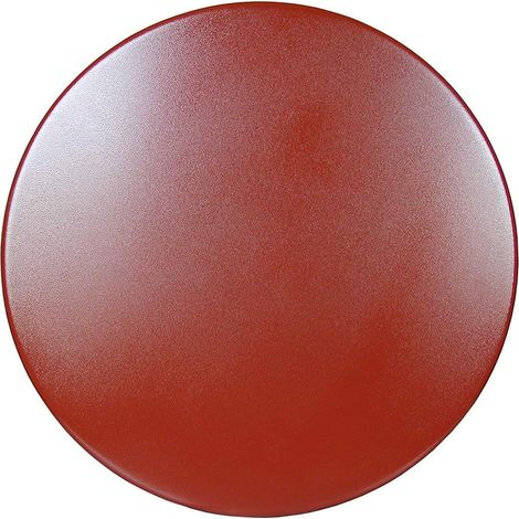 Disque pour lissage de chape pour Monobrosses RAIMONDI 510 mm