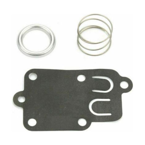 Kit de reparación de carburador compatible con Briggs & Stratton 270026 272538S 272637. (1/4)