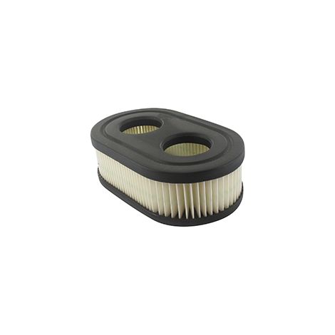 Luftfilter Air BRIGGS et STRATTON 798452
