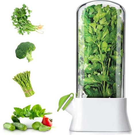 Contenitore per erbe aromatiche da frigorifero Crezuo, contenitore per erbe fresche, contenitore per asparagi e coriandolo, lavabile in lavastoviglie.