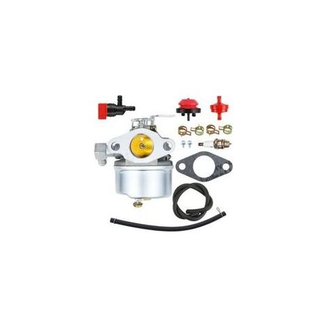 Carburateur modèle 640298 adapté aux OHSK70, OH195SA, 38571, 38575, 38576 et 38577. (1/4)