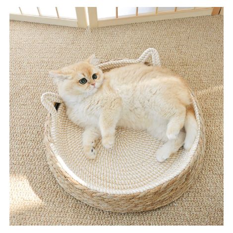 Panier Chat Rotin / Jonc Tressé Taille L – Niche Corde Coton 2-en-1 Griffoir, Corbeille Respirante Lavable Anti-Débris 4 Saisons pour Chat et Petit Chien jusqu’à 6 kg (1/3)