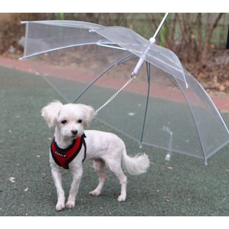 Parapluie laisse pour chien imperméable transparent – Diamètre 70cm – Protège de la pluie – Promenade confortable pour chiens – R & G (1/5)