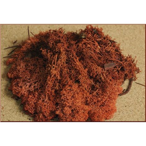 MUSCHIO LICHENE ROSSO BUSTA DA 30GR