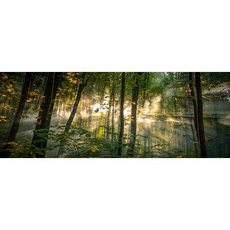 Tableau Forêt - 80x30cm - made in France Toile imprimée (1/5)