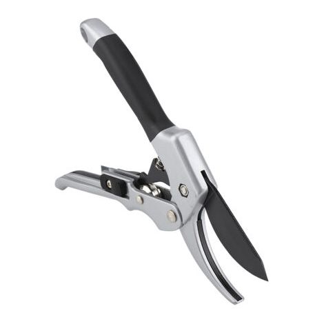 Pair Ciseaux de Jardinage en Argent pour Taille Précise des Plantes et Arbustes