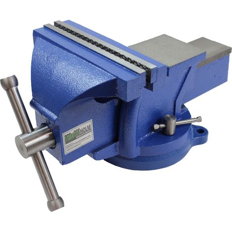 Schraubstock parallel 360° drehbar mit Amboss für Werkbank 200 mm / 8" (1/5)