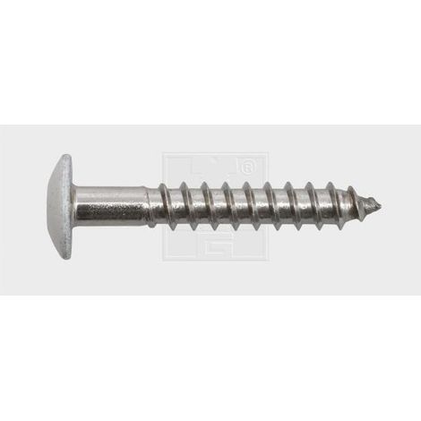 FASSADENBAUSCHRAUBE V4A TX 20 5,5 X 45 RAL 9010 WEISS (1/2)
