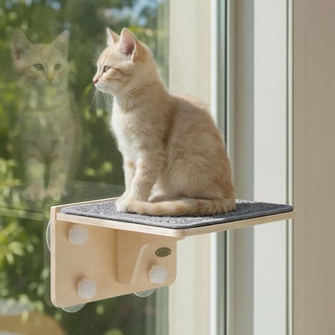 Hamac Chat Fenetre Observation des Oiseaux, Jusqu'à 10 kg, 30×26 cm Cadre Renforcé en Bois, Mural Hamac pour Chaton, Confortable Lit pour Chaton avec des 4 Ventouses, Facile à Monter (1/5)