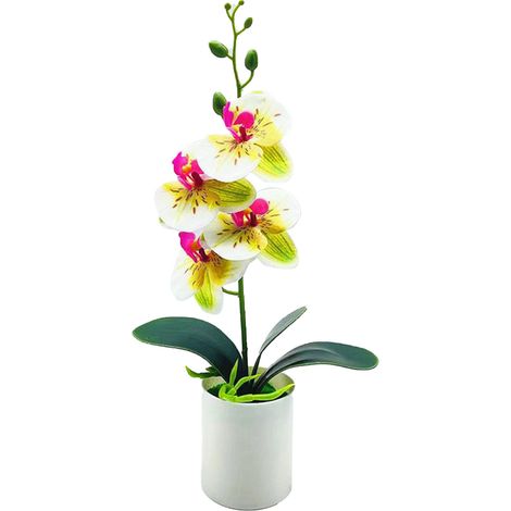 Phalaenopsis Ornaments Multipurpose Simulation Innovative Vivid Fun Hand Crafted Orchid Bonsai Ornaments for Living Room Study Office Green White (1/5)