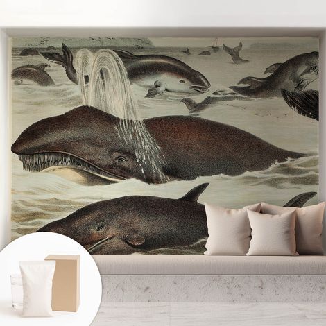 Carta Da Parati In Vlies - Fotomurale - Decorazione Paretie - Per Camera Da Letto - Per Soggiorno - Con Colla Gratuita Creature marine 208x146 cm (1/5)