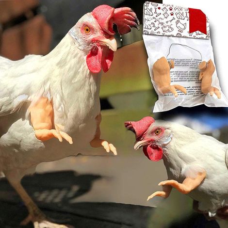 Hundeaccessoire Hühnerarm Lustiges Kostüm ABS Farboption Schwarz/Fleisch