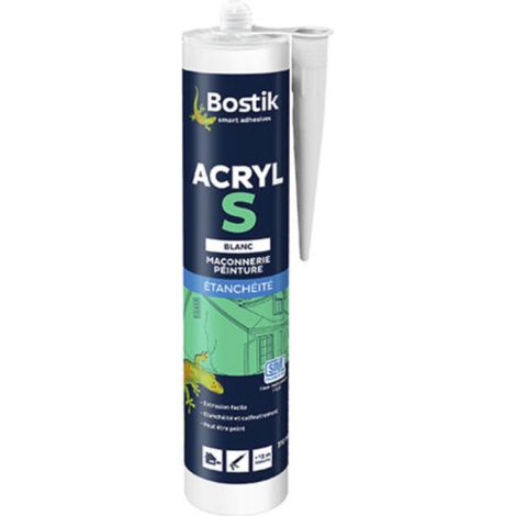 Mastic Silicone Acrylique S Blanc étanchéité Durable Et Flexible, Intérieur/extérieur - Den Braven