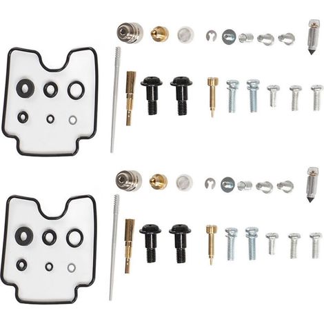 Kit de réparation carburateur pour Yamaha V Star 1100 XVS1100 (1999–2009) – joints et ressorts inclus (1/5)