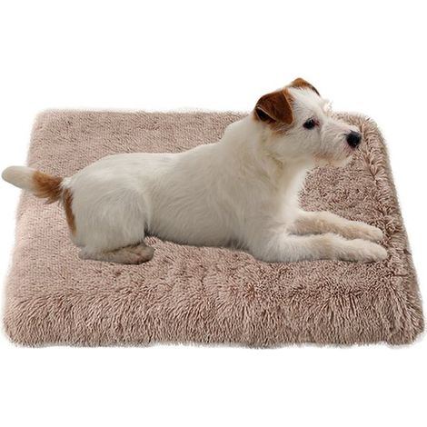 Ce tapis orthopédique pour chien est doté d'une housse amovible et lavable. Apaisant - de couleur beige et mesure 120 x 75 x 10 cm - doux et chaud (1/5)