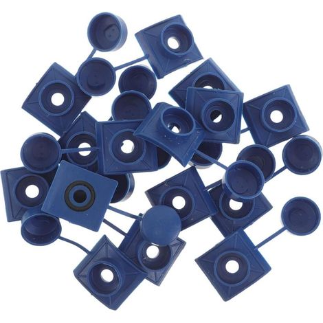 capuchons de protection pour vis de toiture en tuiles bleues (1/5)